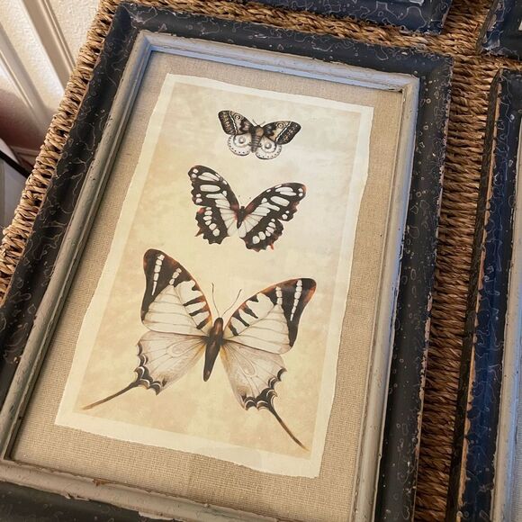 Creative Co-Op Distressed Antique Look Set of 4 Butterfly-Insect Framed Art - Picture 5 of 15